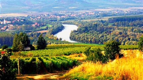 Tokaji borvidék tájképe