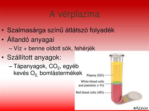 A vér által szállított anyagok