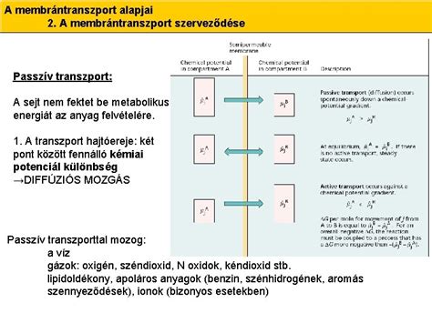 Passzív transzport folyamatok