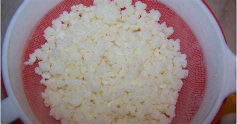 Kefir szemcsék