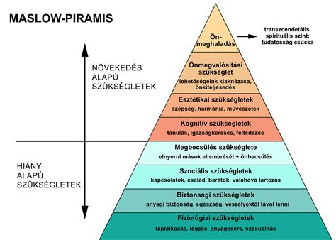 Tápanyag-eloszlás piramis diagram