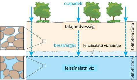 Különböző gyümölcsfajták talaj- és tájolásigényeit szemléltető diagram