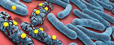 Az antibiotikum-rezisztencia terjedését ábrázoló infografika
