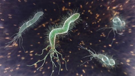 Az antibiotikum-rezisztencia miatti halálozások előrejelzése 2050-ig