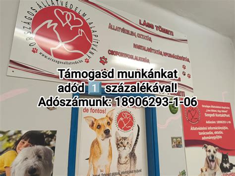 kutya korosztályok