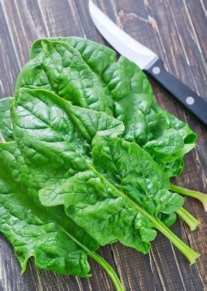 Spenót - vitaminokban gazdag zöldség