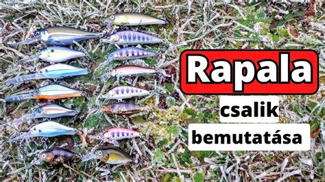 Kiegyensúlyozott csalik bemutatása