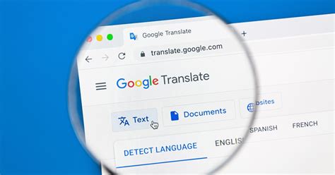 macska fordító app képernyőképe