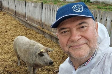 Mangalica és modern sertésfajta összehasonlítása