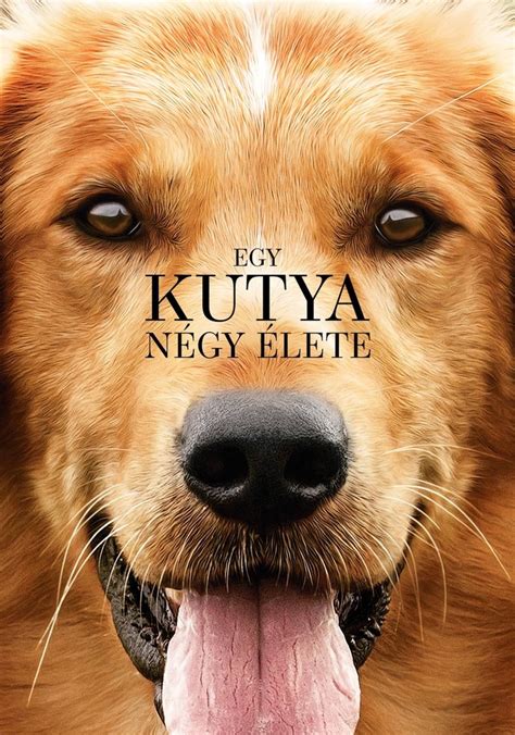 egy kutya negy elete filmkocka