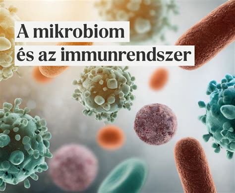 illusztráció mikrobiomról