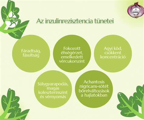 diagram a bélflóra és az inzulinrezisztencia kapcsolatáról