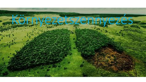 környezetszennyezés horgászólmok által