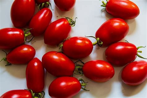 San Marzano paradicsom és Mozzarella di Bufala