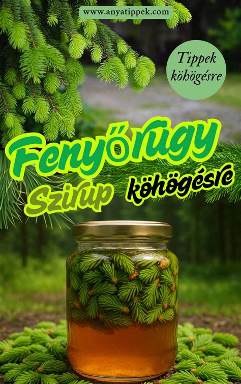 Fenyőrügy szirup felhasználási ötletek
