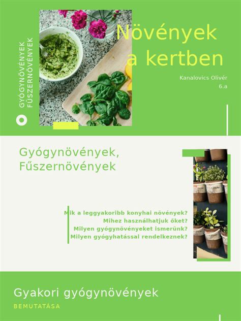 Csigaűző növények a kertben