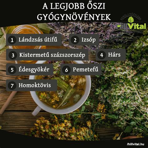 Étrendkiegészítők és gyógynövények kerülendő listája