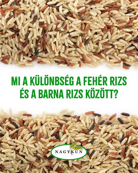barna rizs és fehér rizs összehasonlítása