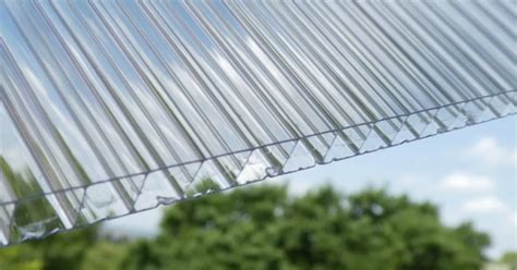 Különböző színű és típusú paprikák