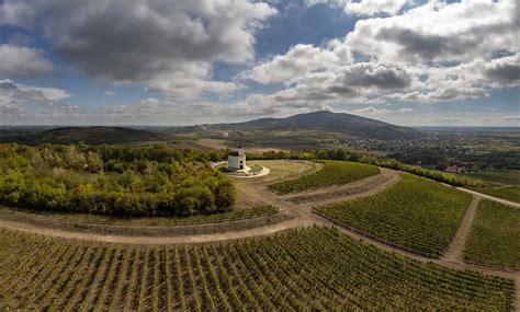 Tokaj-Hegyalja mezőgazdasági táj, szőlőültetvényekkel