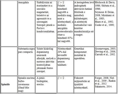 A memóriavesztés folyamatát ábrázoló diagram, különböző agyi régiók aktivitásával