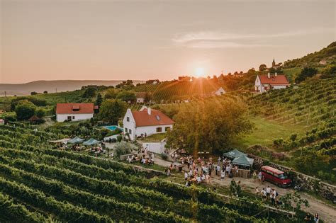 Szardíniai borászat