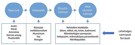 Az ezüstkolloid felszívódásának és kiürülésének sematikus ábrája