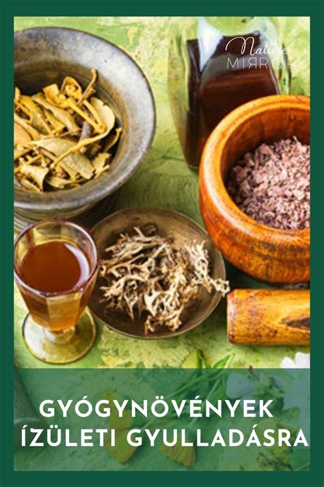Gyógynövények ízületi problémákra