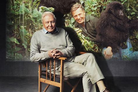 David Attenborough orangutánokkal