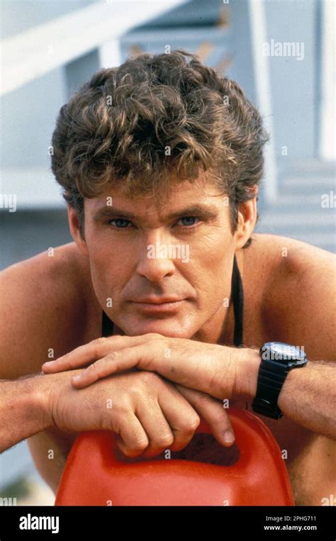 David Hasselhoff egy partin