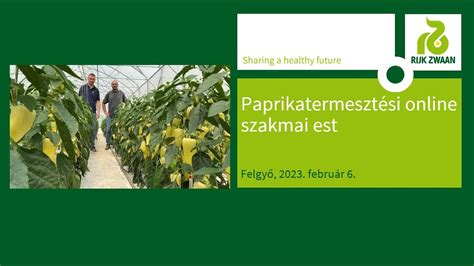 Paprikatermesztési útmutató