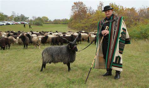 Magyar gulyások és juhászok a Hortobágyon