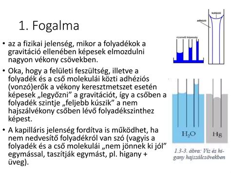 A hússzárítás kémiai és fizikai folyamatai