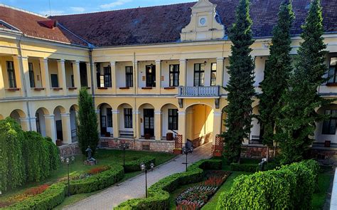 Kép a bimbóskel történelmi ábrázolásáról