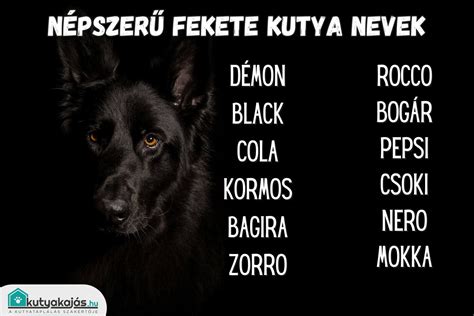 Gitárhúr nevek és elhelyezkedés diagram