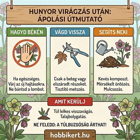 A rizsfőzés alapszabálya: hagyd békén!