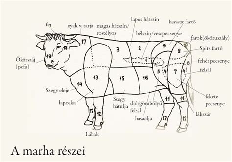 A szarvasmarha húsrészei
