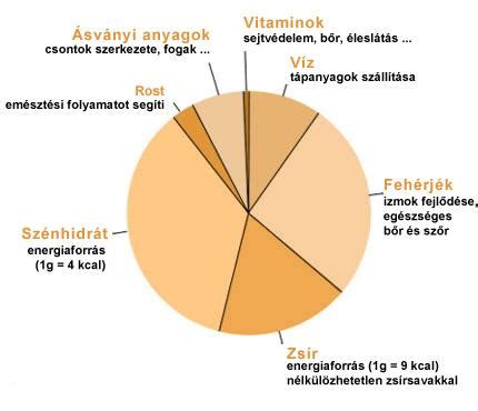 Energia és tápanyagok