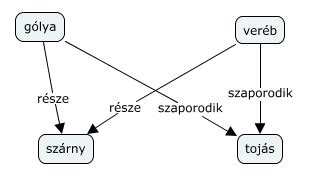 fogalmi hálózat diagram