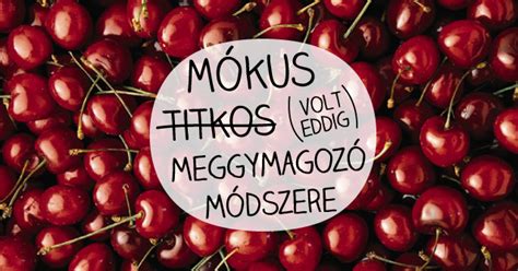 Meggy és tejszín közeli kép