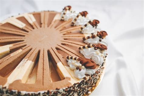 Zila tortaforma