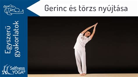 Réteslapok nyújtása és előkészítése