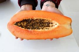 papaya magok