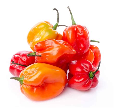 Habanero paprika