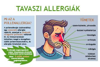 Allergia kezelési lehetőségeit bemutató infografika