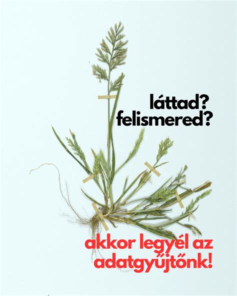 A kergemarhakór terjedésének ábrázolása
