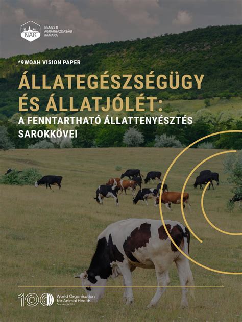 Infografika a prémium hústermékek három alappilléréről: GMO-mentesség, antibiotikum-mentesség és állatjólét