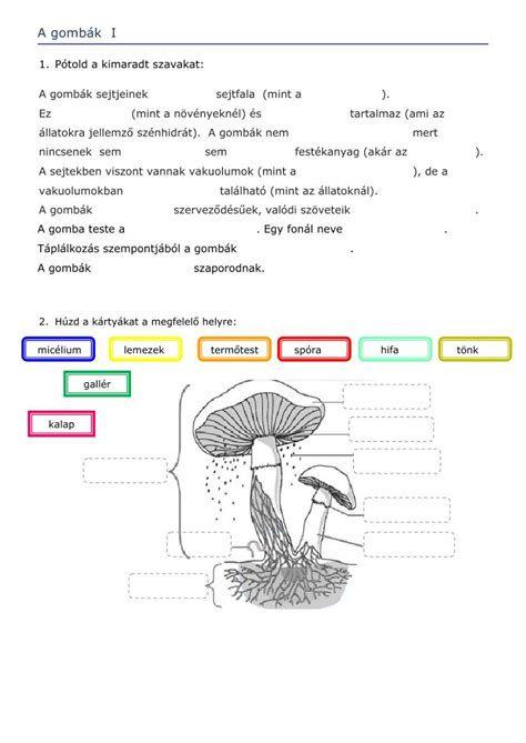A természet kincseinek sokszínűségét bemutató illusztráció, amelyen ásványok, gombák és más természeti elemek láthatók