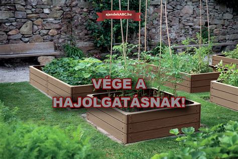 Magaságyás őszi hagymával beültetve