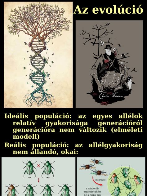 A szénsav-anhidrázok evolúciós fája